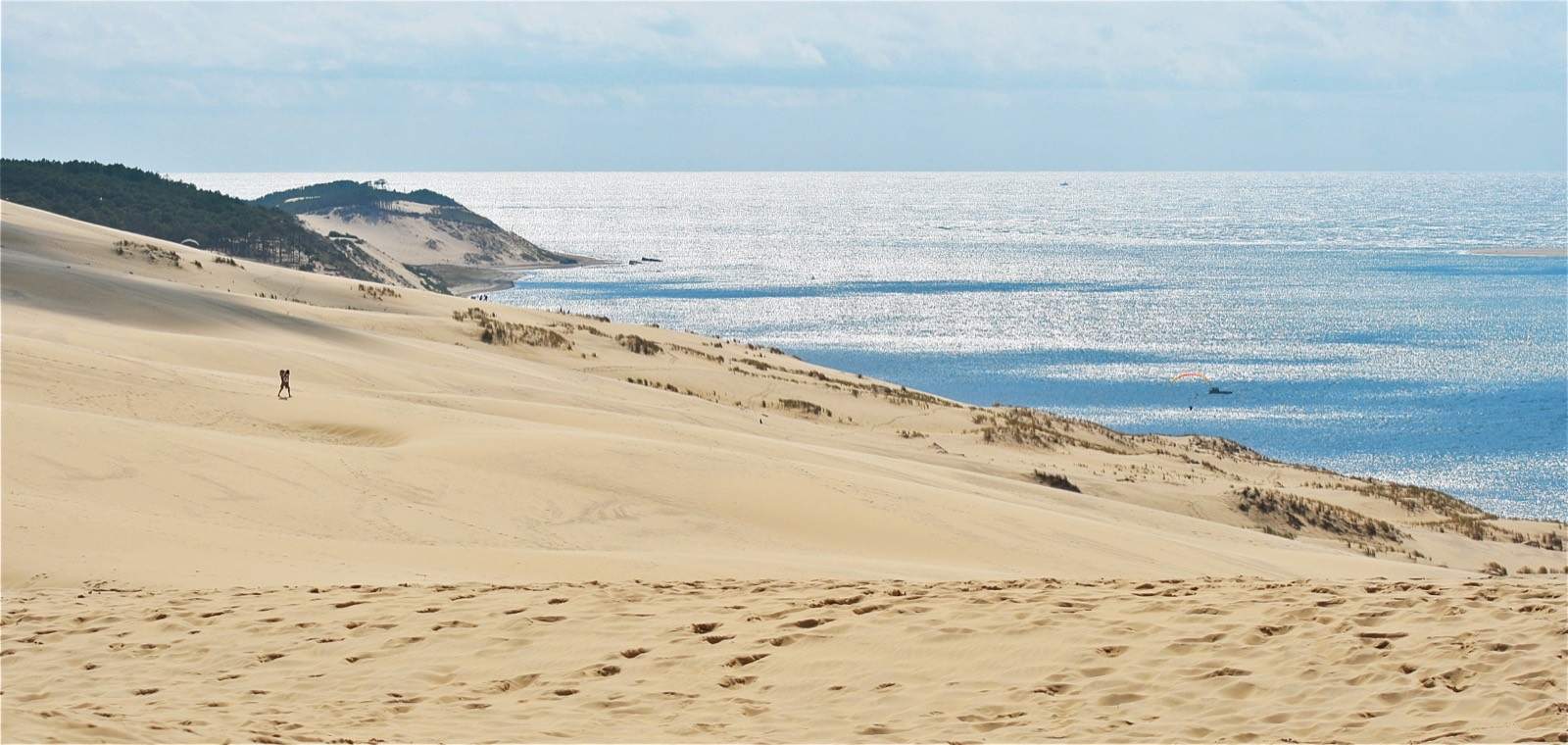 Formation IA à Nouvelle-Aquitaine